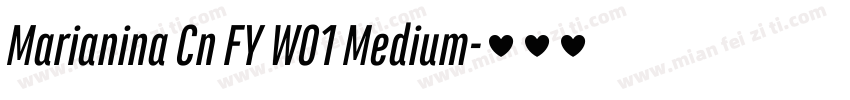 Marianina Cn FY W01 Medium字体转换